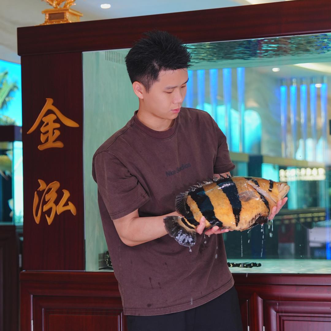 金泓观赏鱼