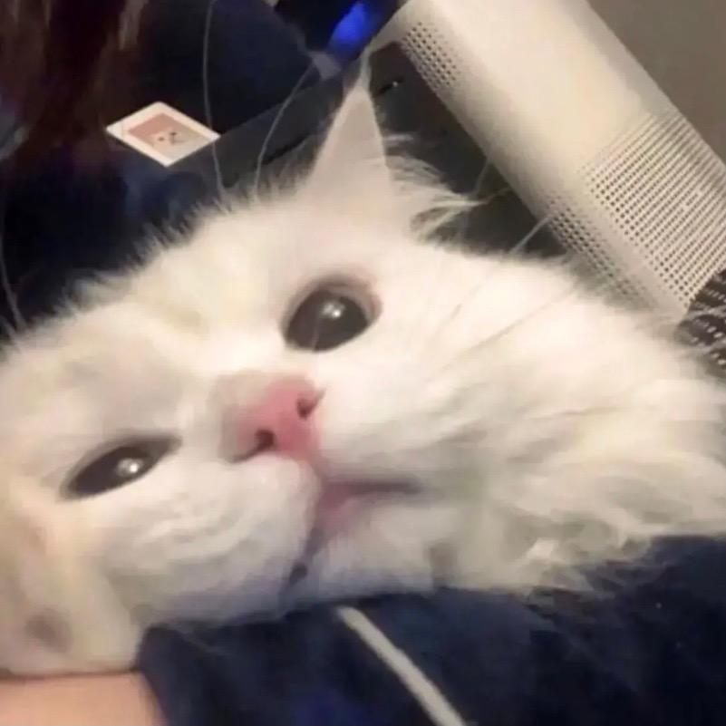 草莓屁屁u