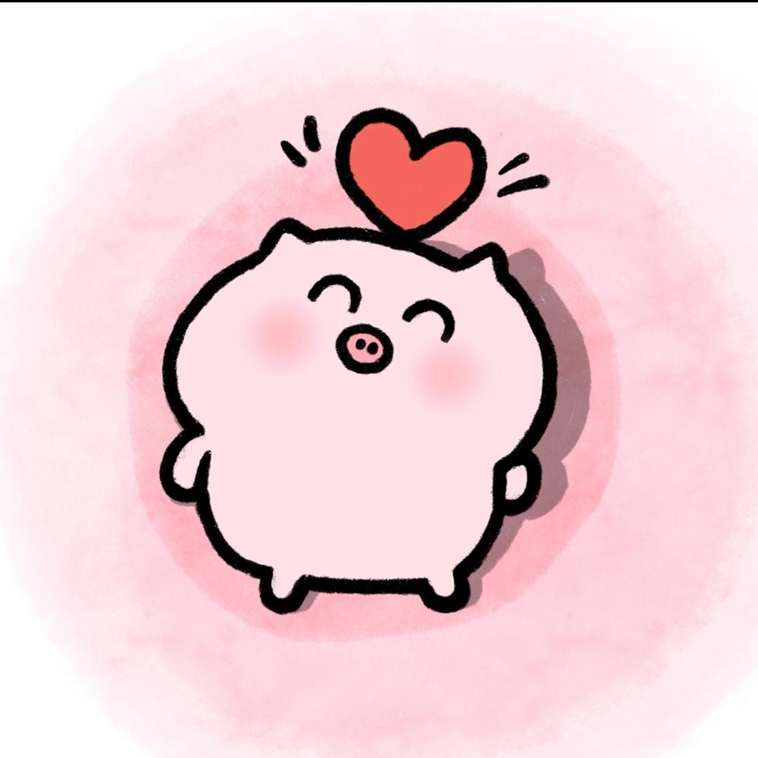 🐷呼噜噜小猪₊⁺☆₊⁺