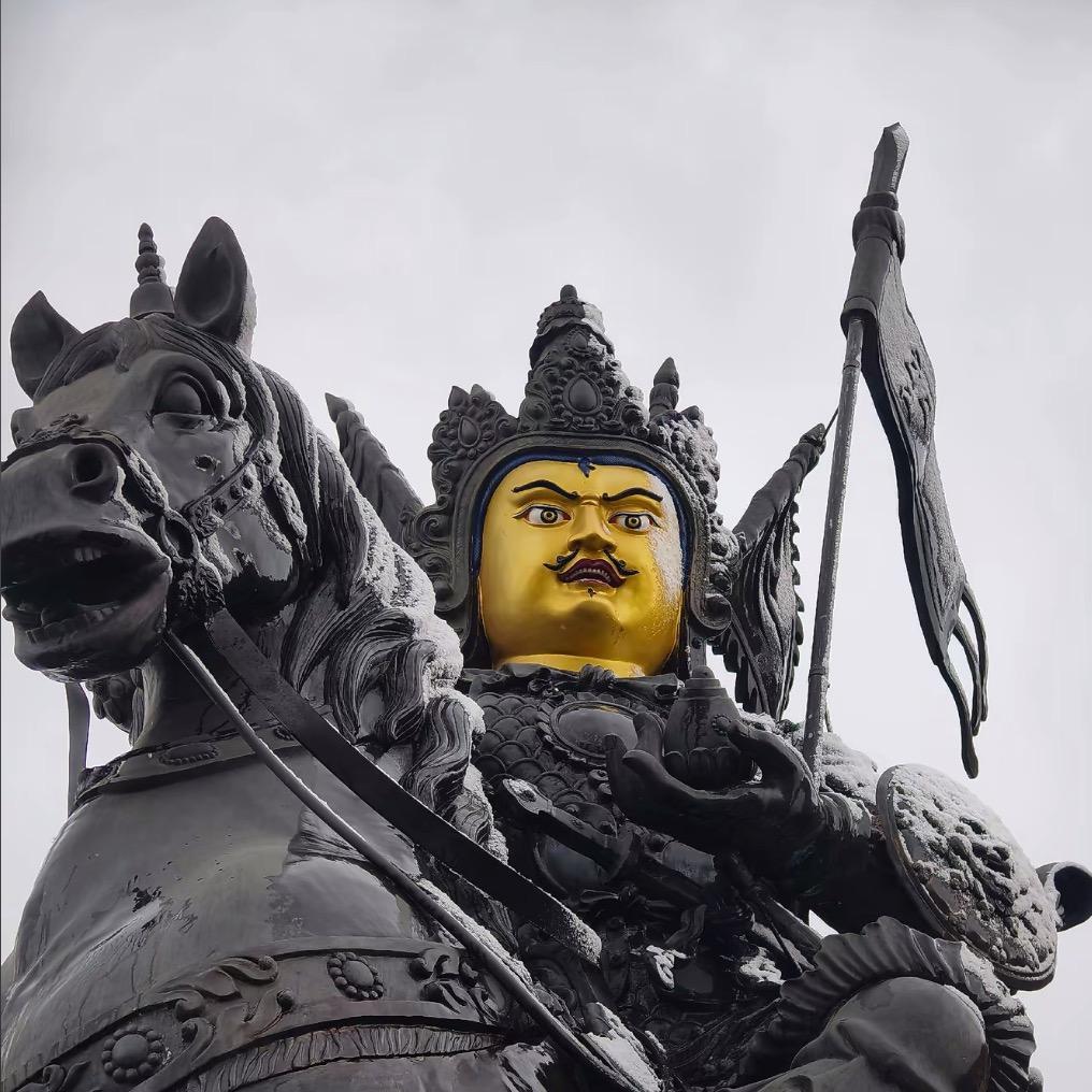 藏传🪷尼麦 高价回收🤝