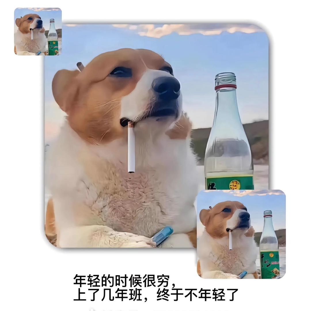 盗墓笔记