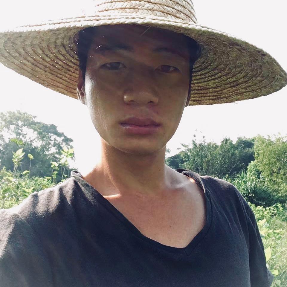 大陈陈