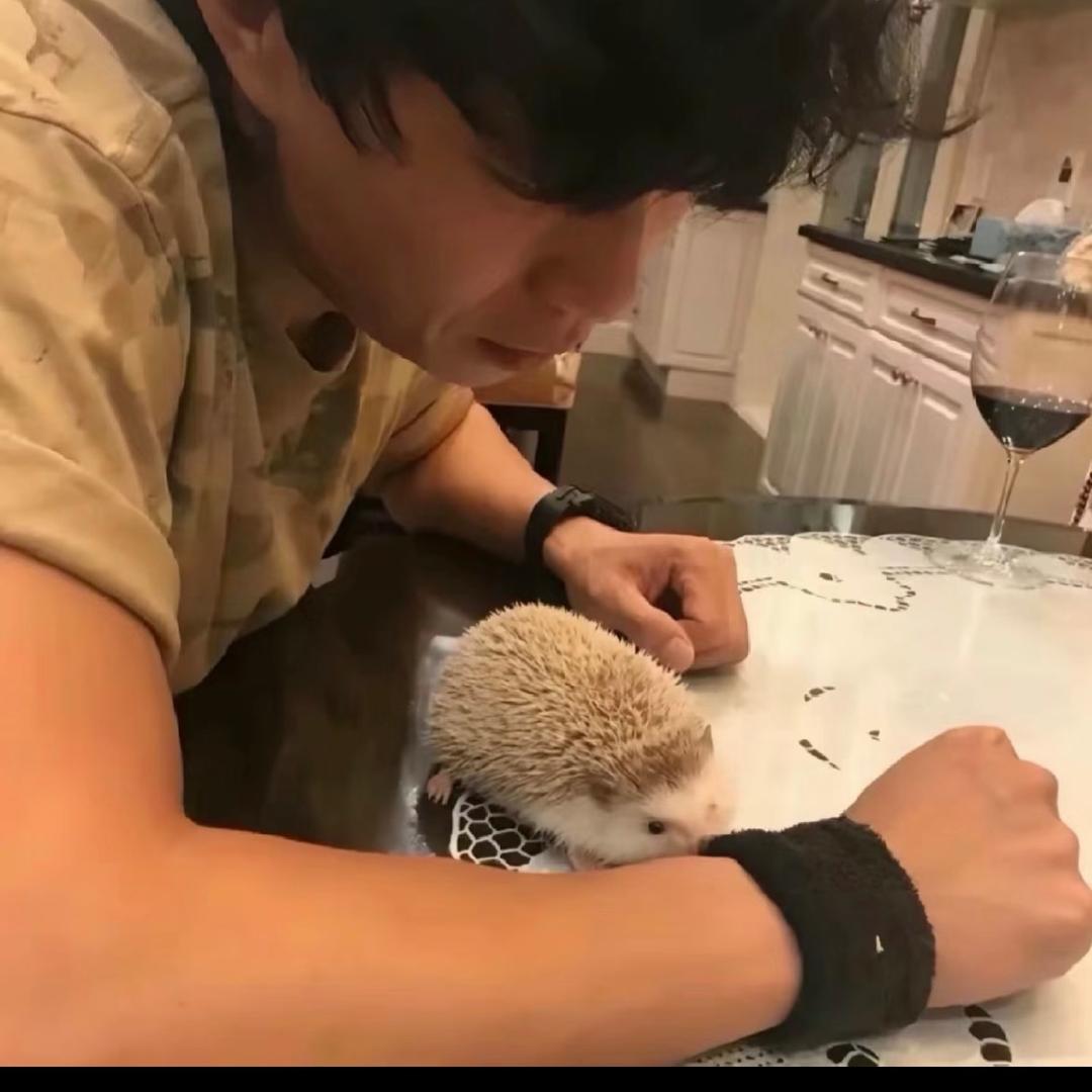 朵儿