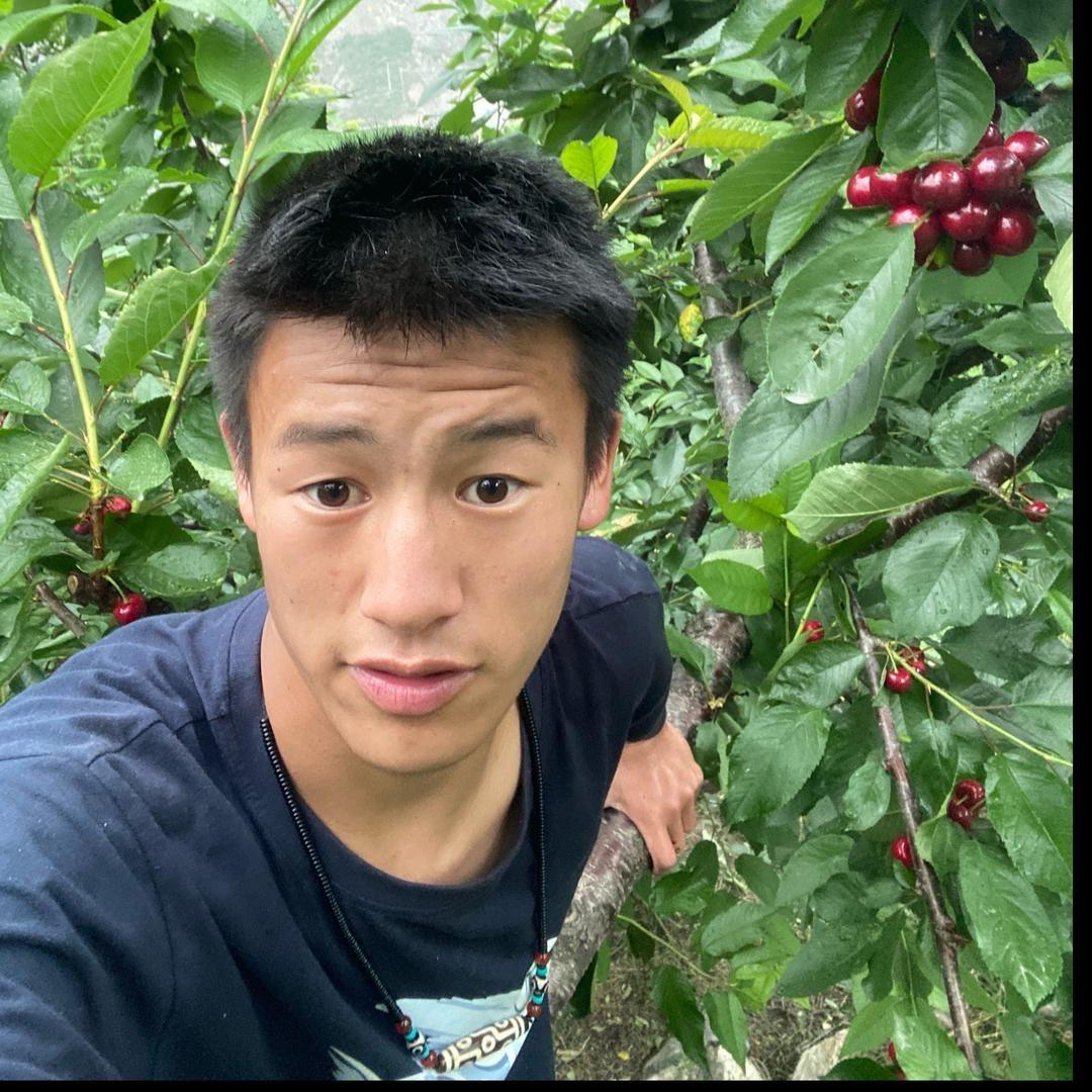 羌娃儿（小朱同学）