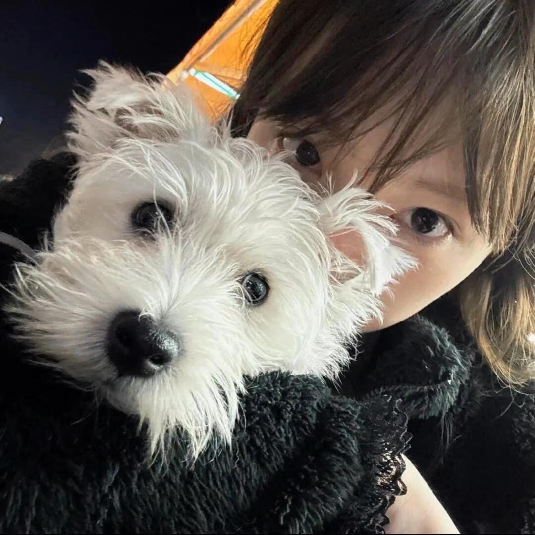 小狗生煎包