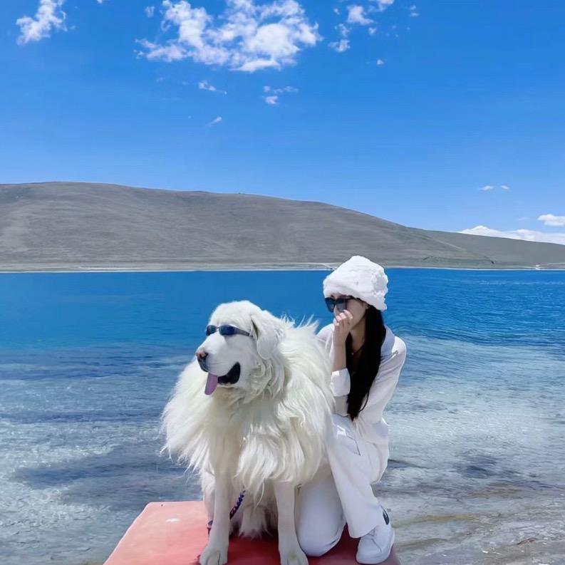 莉莉💜