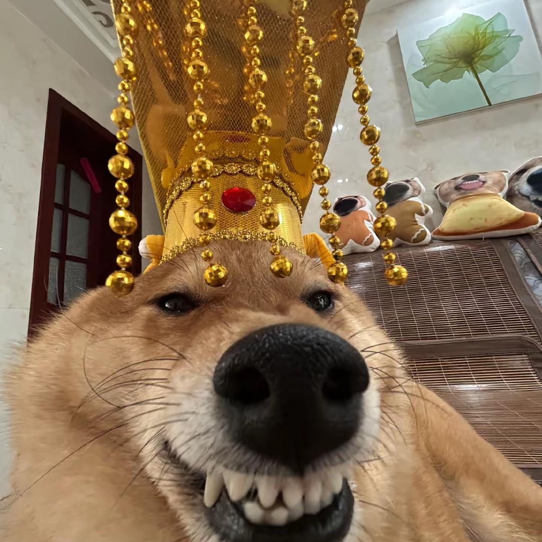 -w