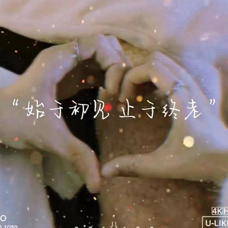 泽译夫妇花卉💐
