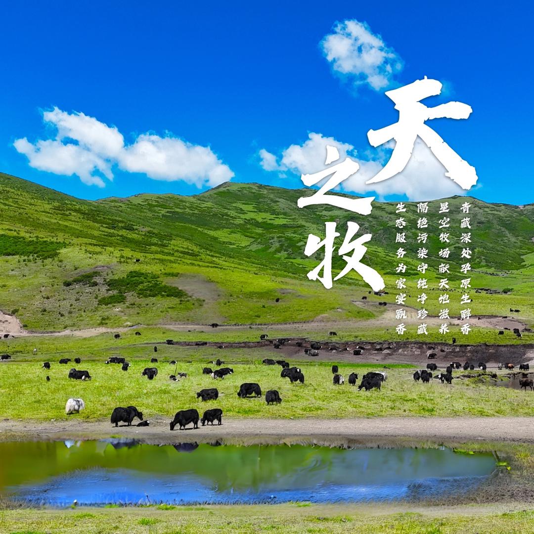 天之牧牦牛肉¹²