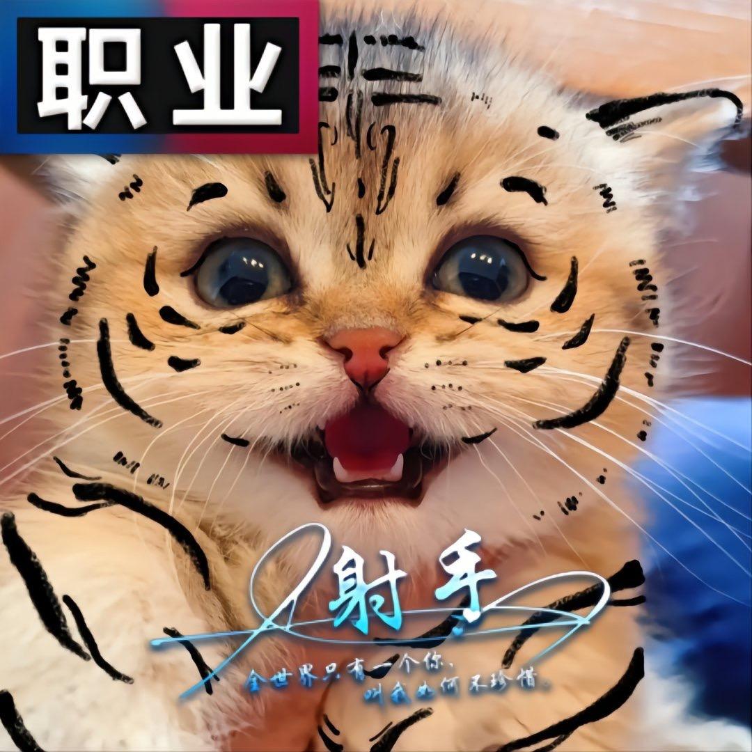 王者荣耀迦南(菜鸡射手)