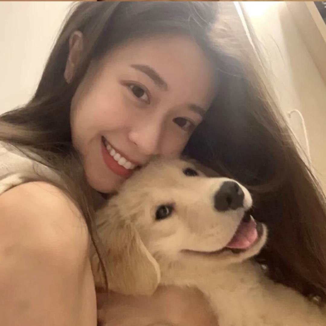 姐姐有只金毛
