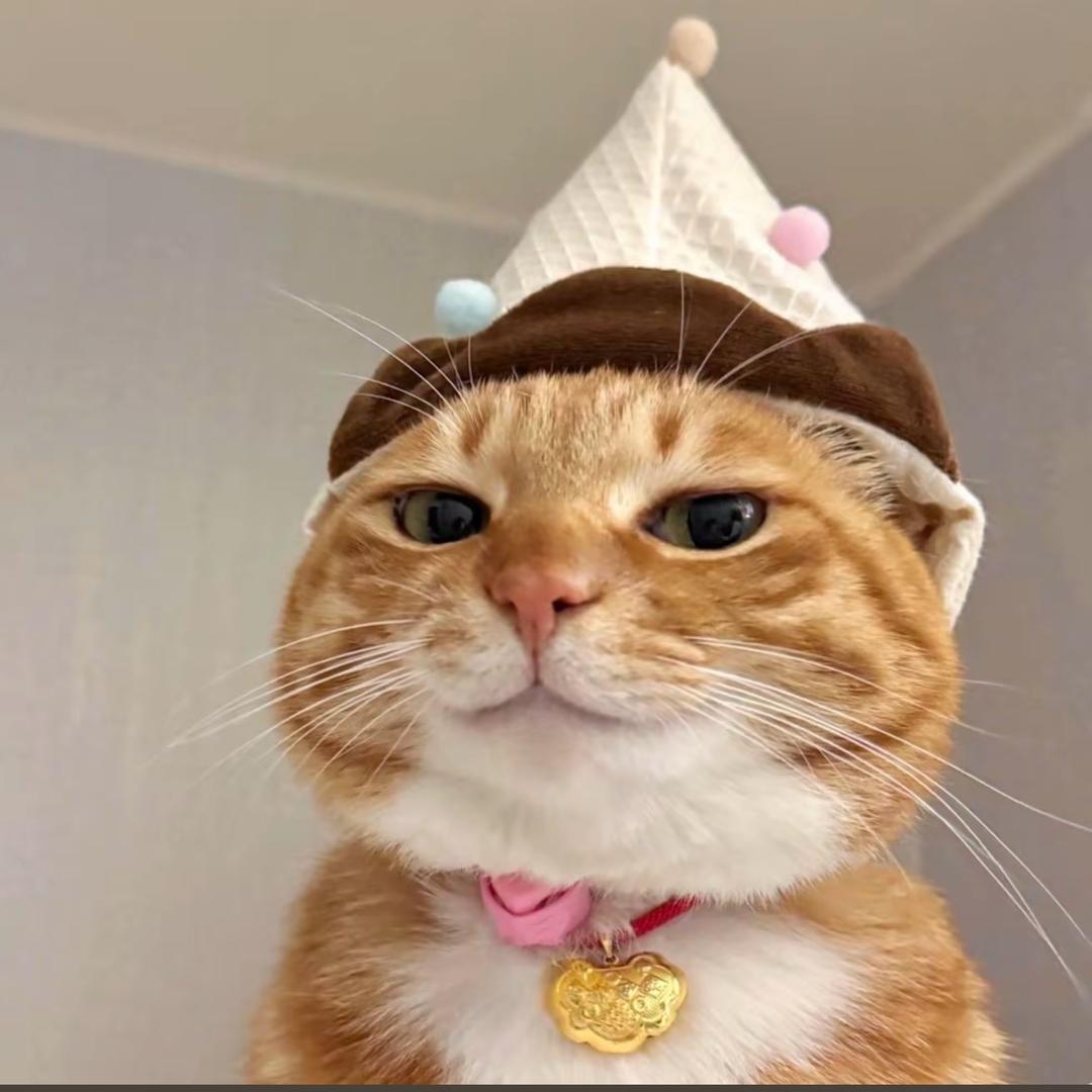 火箭猫猫头