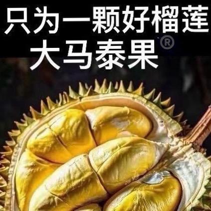 《大马*泰果》榴莲 车厘子 供应链