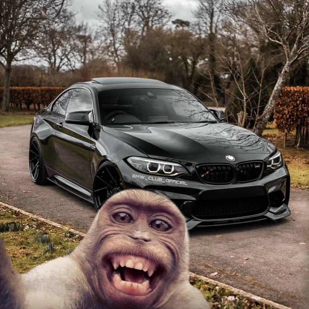 Frank