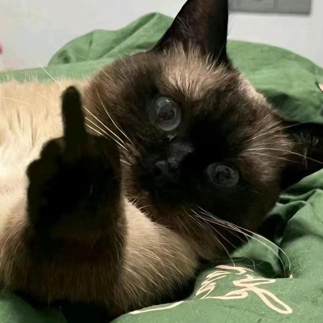 超级无敌蛋黄酥