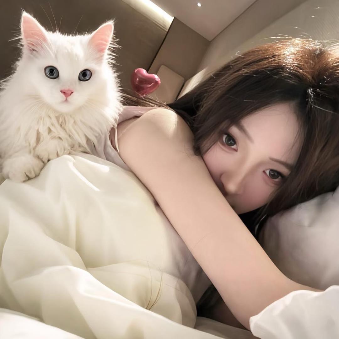 肥鲶鱼