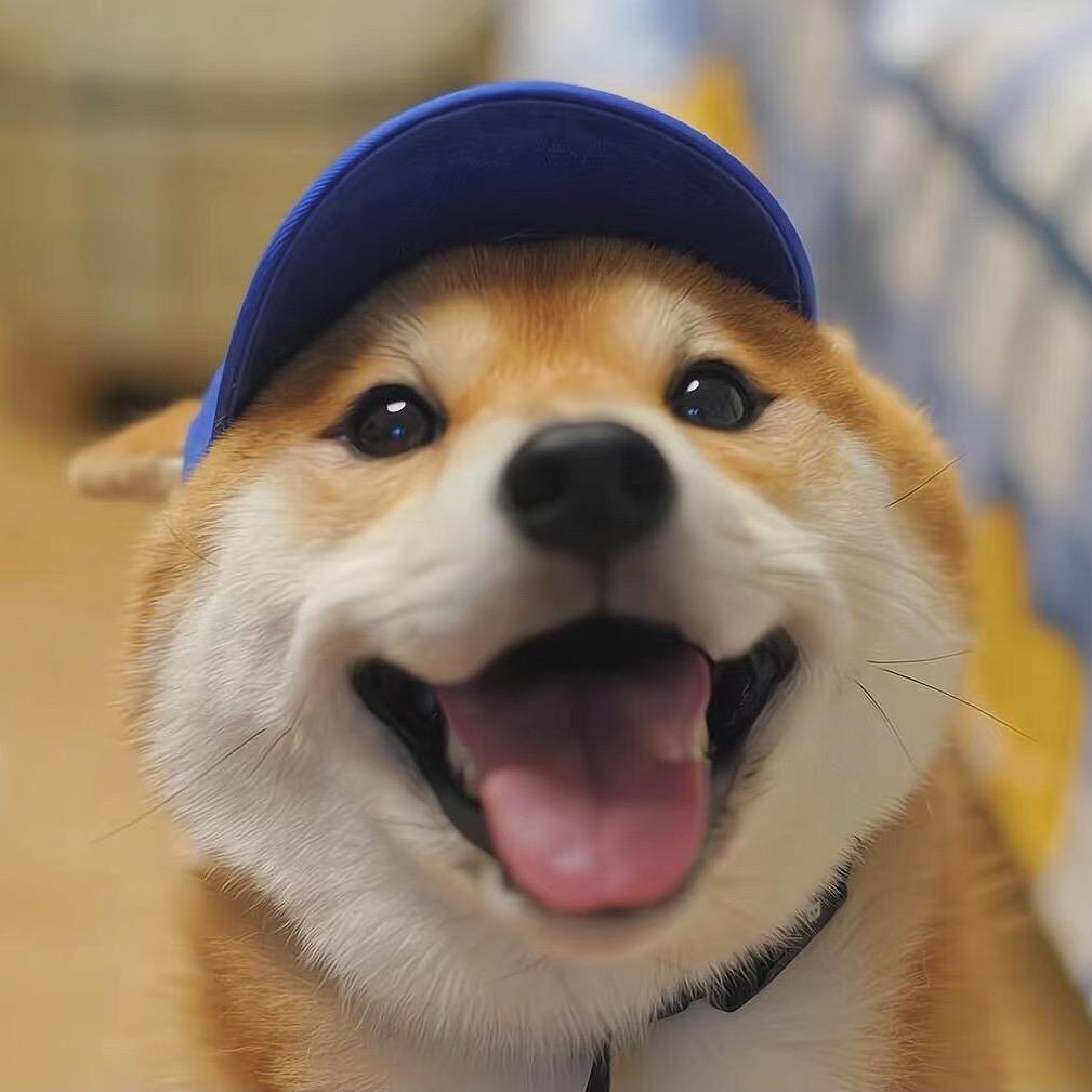 中立航信息咨询