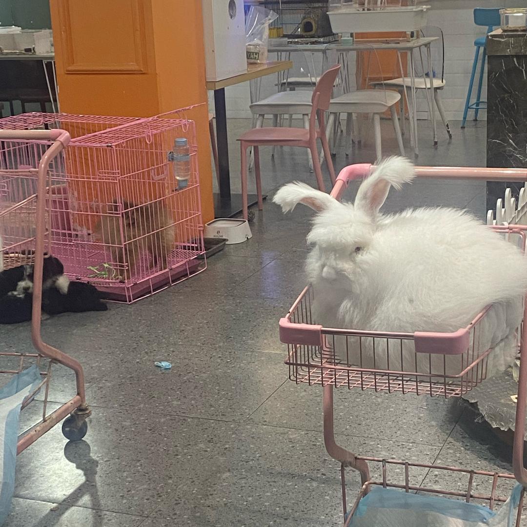 春阳的春