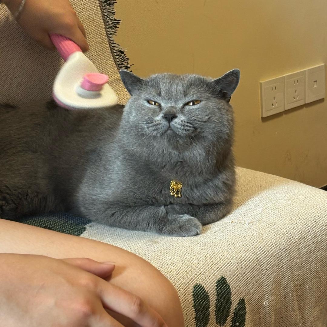 和一