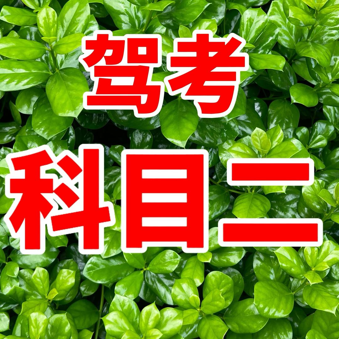 彭教练驾考好物分享