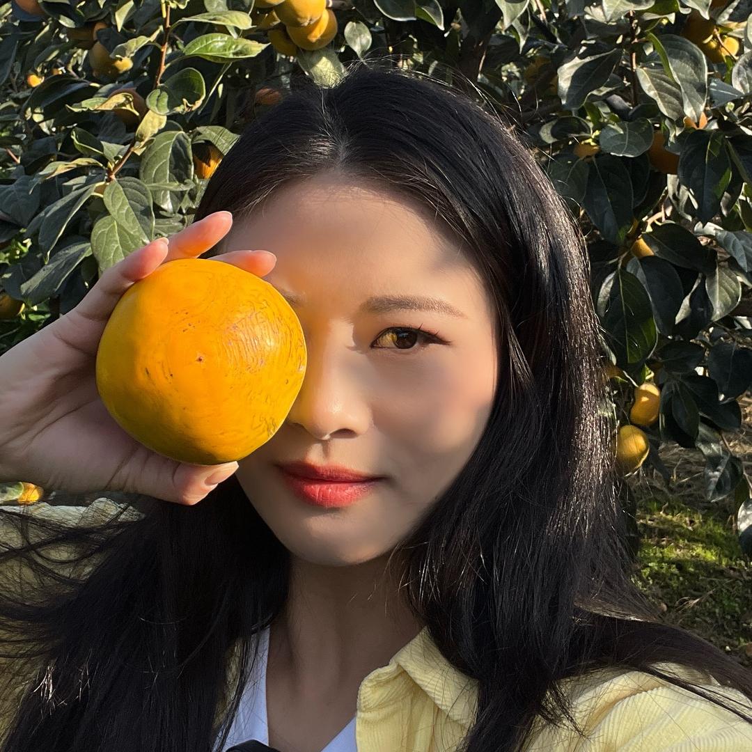 三农主播董小姐