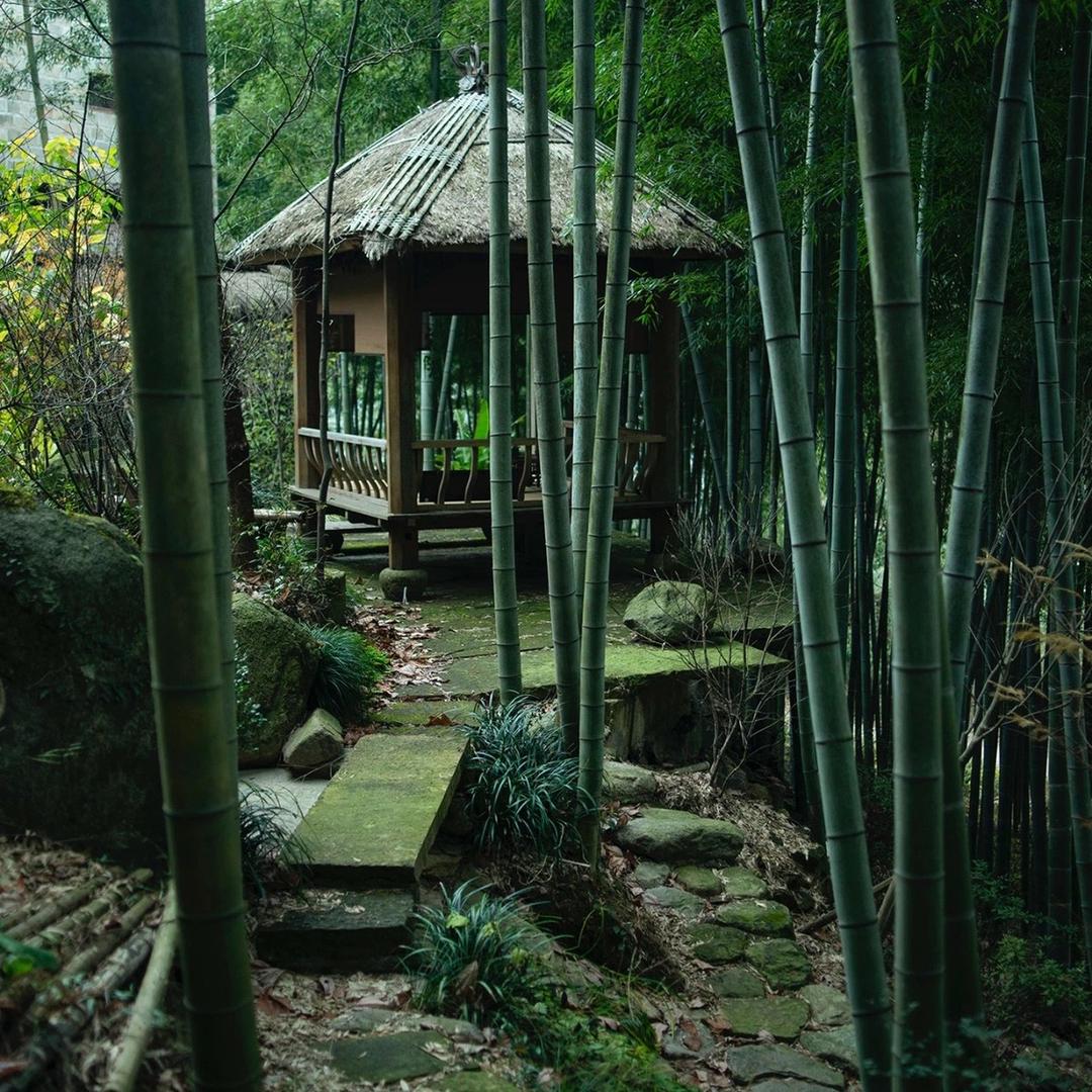 竹影草堂