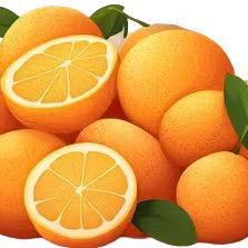 正宗赣南脐橙产地直发