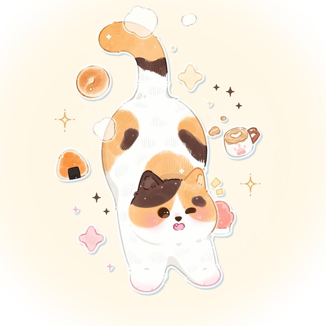 Coco猫猫