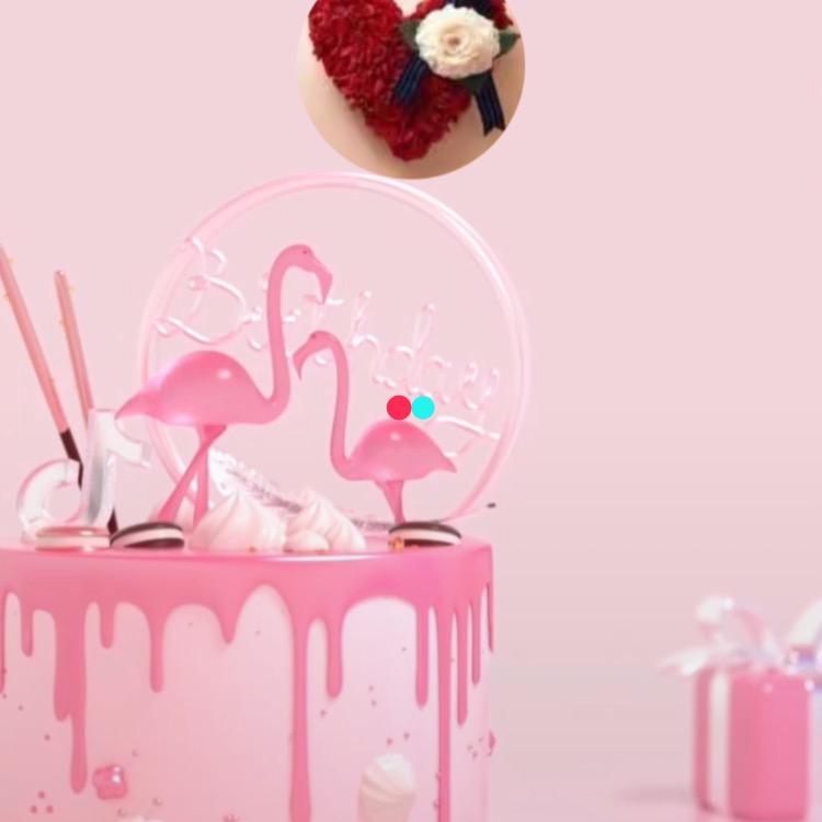 小安琪Baby