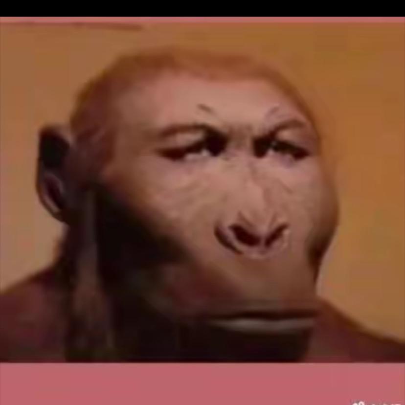 爨瀋
