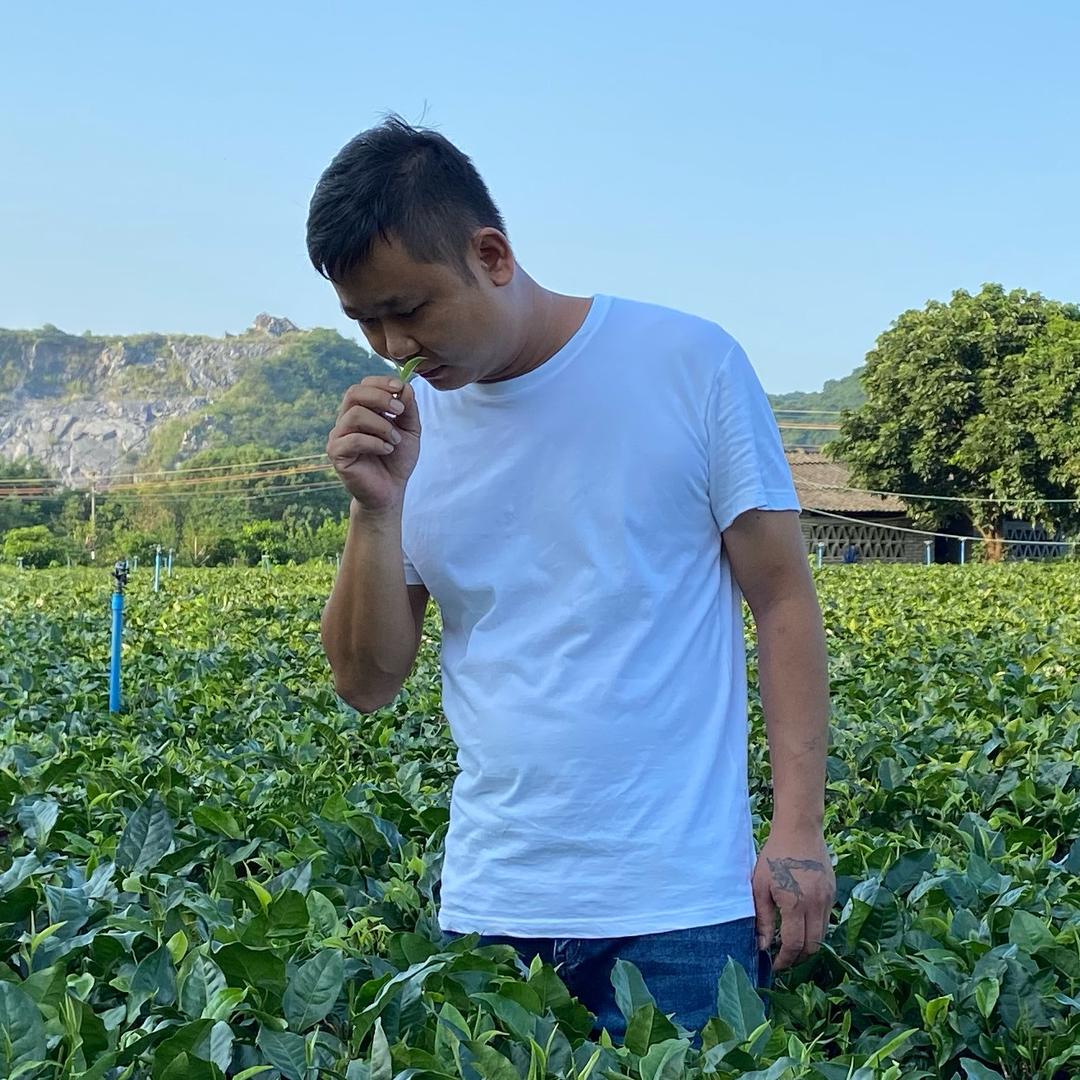 清远伟仔