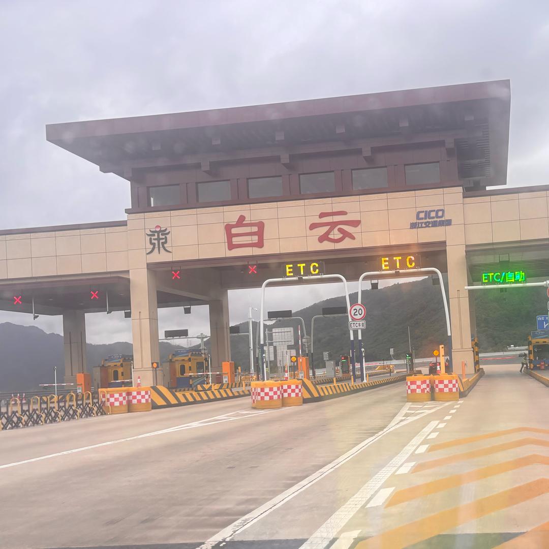 偷偷鲨掉你-
