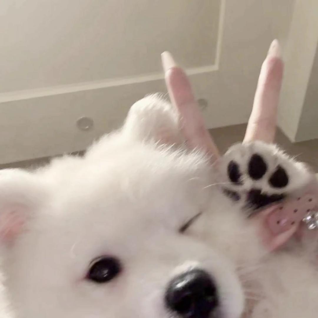 晚宀
