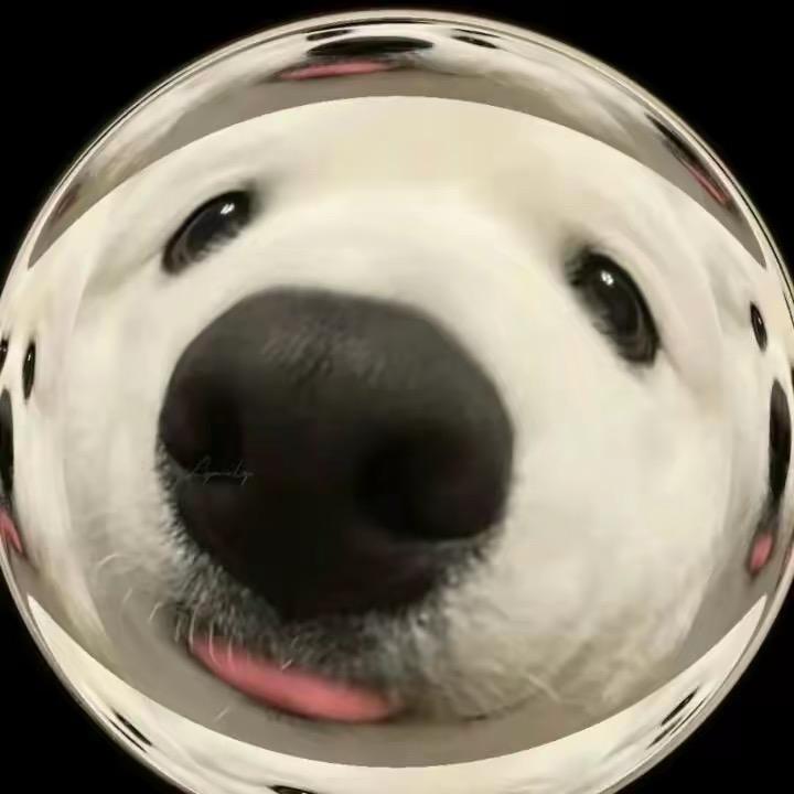 小锅的热牛奶🥛