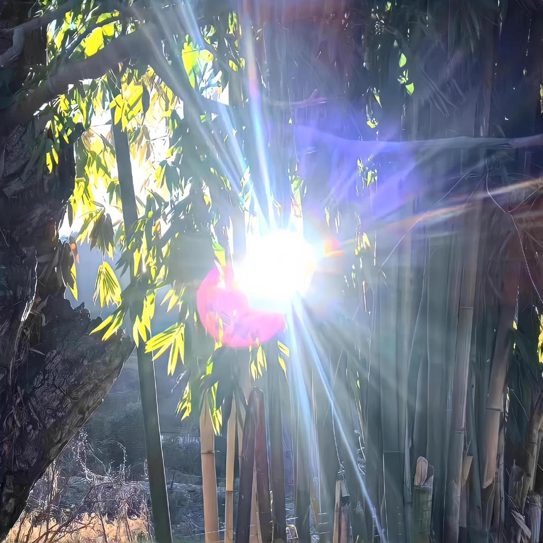 不行