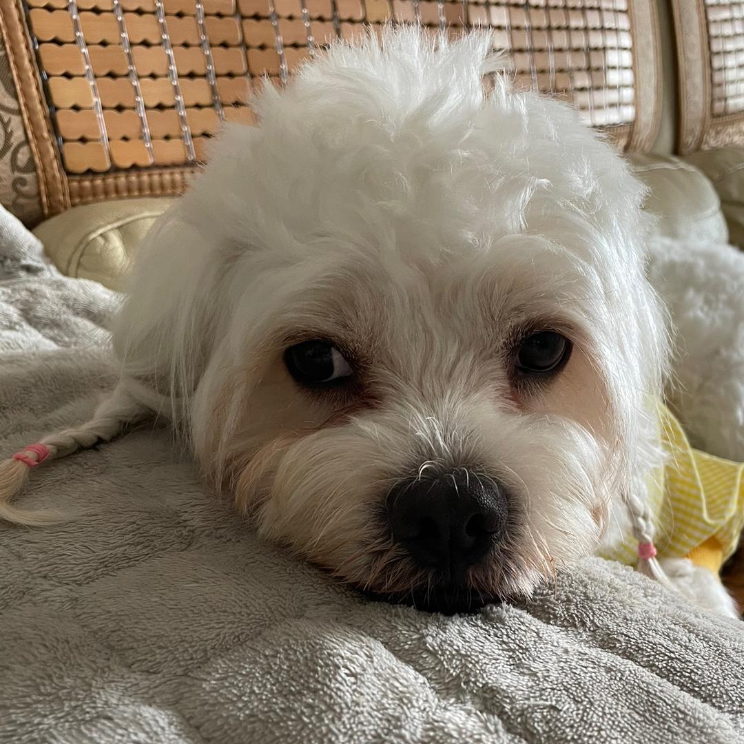 丛嘟嘟是个串儿