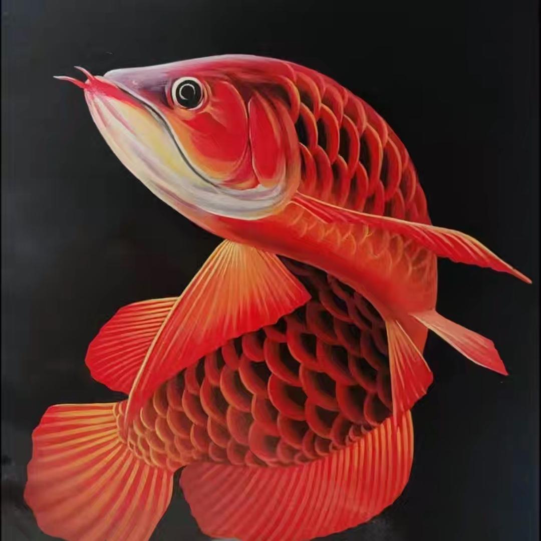 水族器材滤材工厂