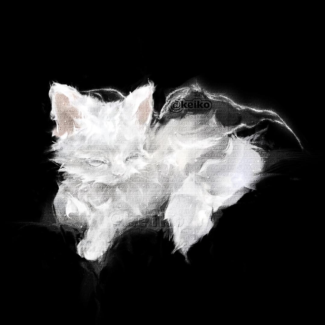 𝐊𝐞𝐢𝐤𝐨