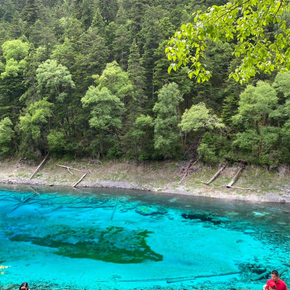 浦口小娟子