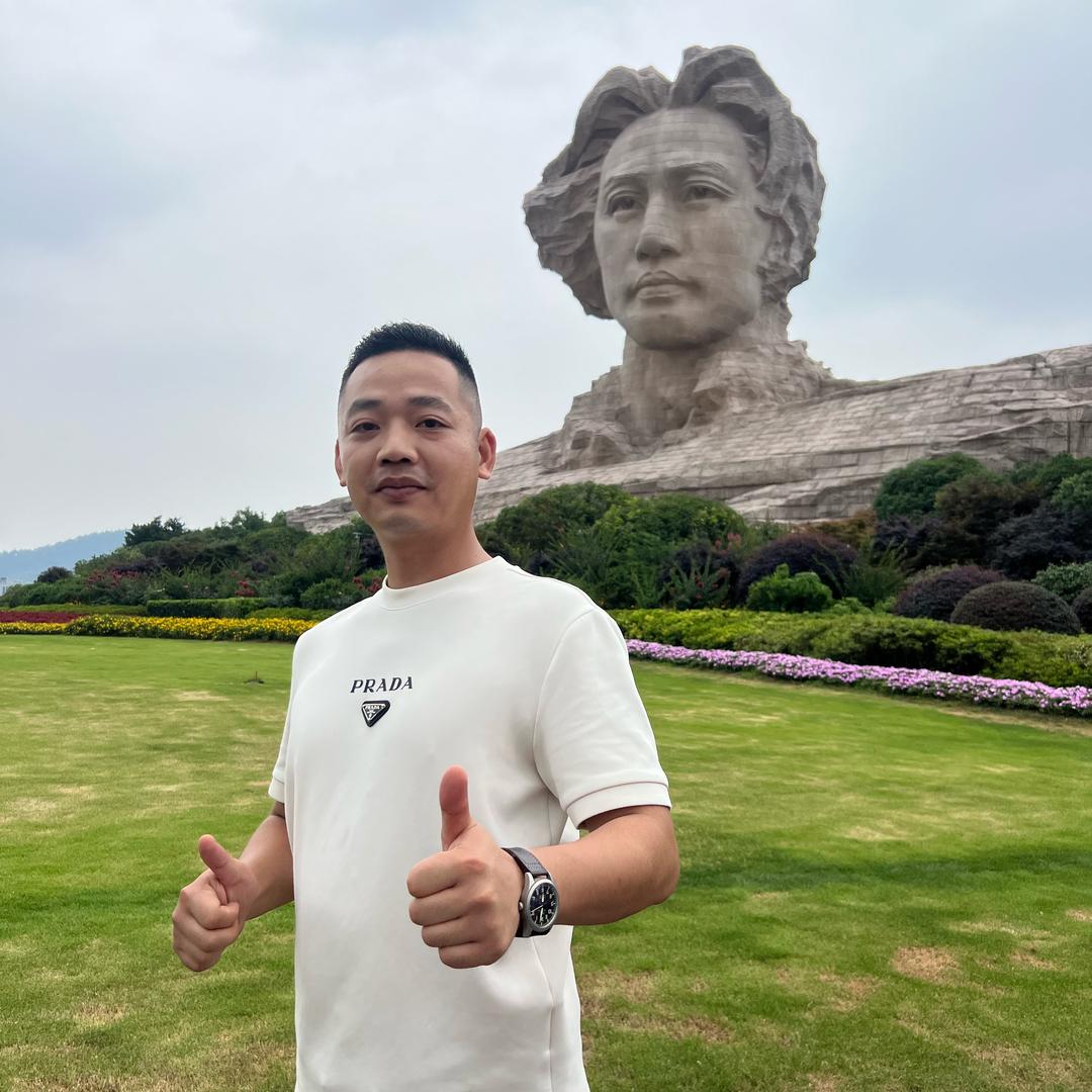 吴迪淘车