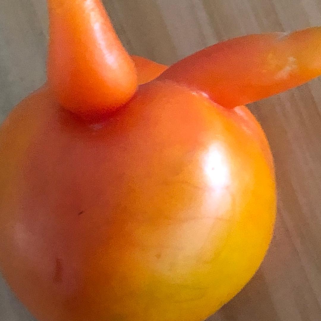 我是一只小小鸟