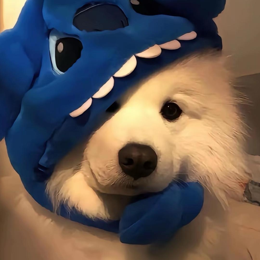 林海