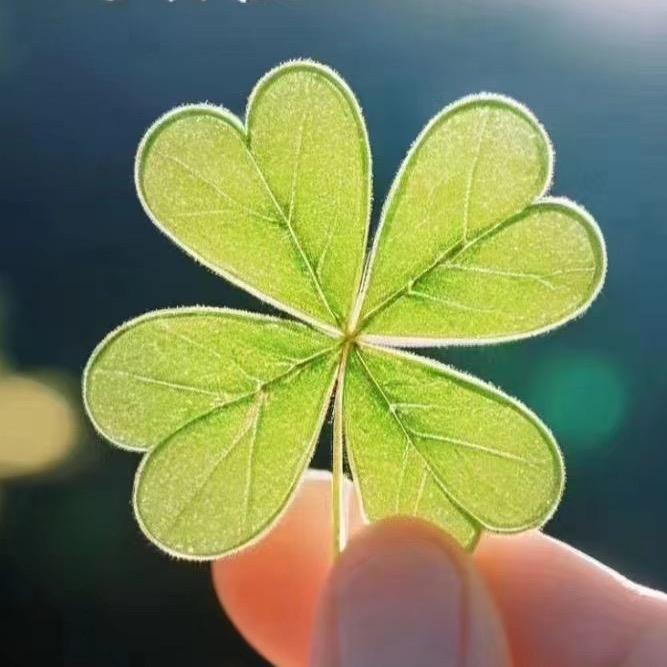 常德津市技能培训燕子老师