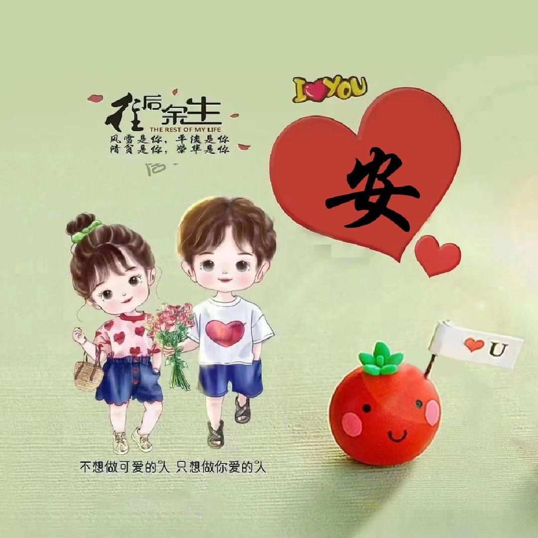 安家小妞