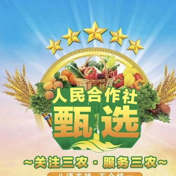 人民合作社小卖部