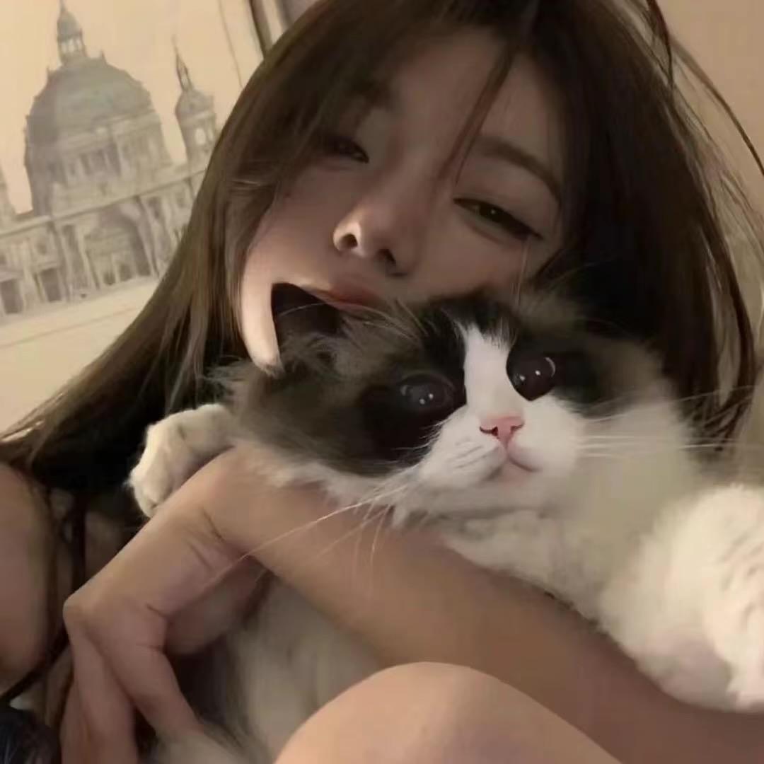 🐈‍⬛‧₊˚⋆