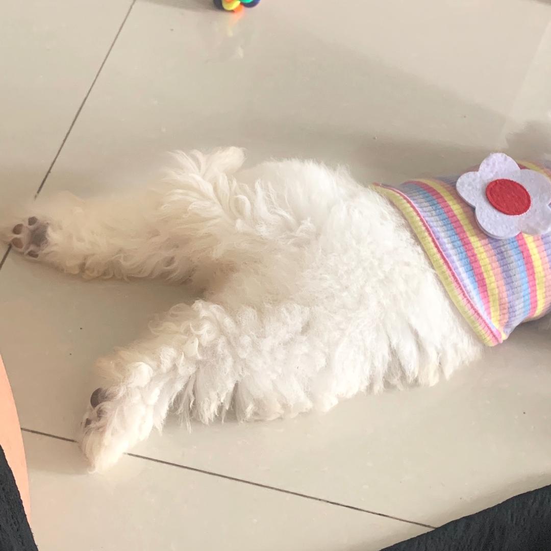 💫爱吃饭🍚