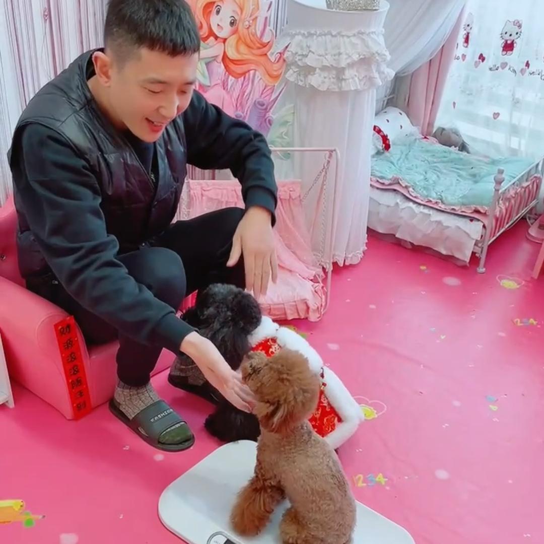 嘟嘟小表妹