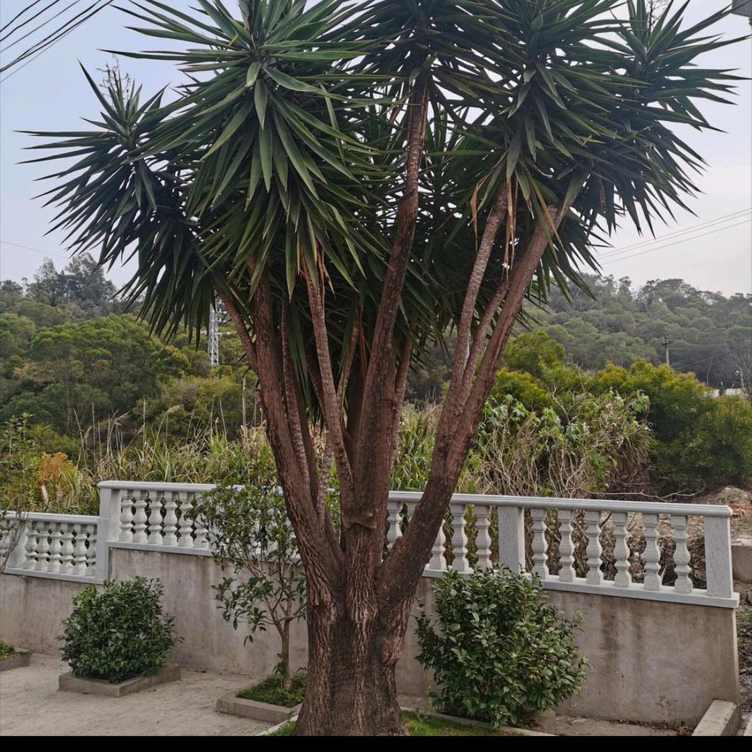 一生有你