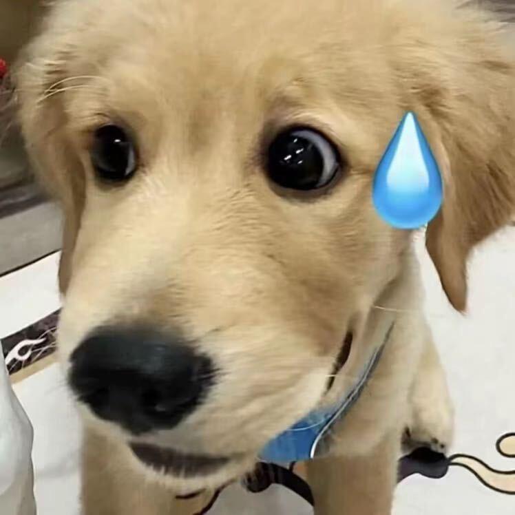 ￴ ￴ ￴￴ ￴ ￴ ￴1